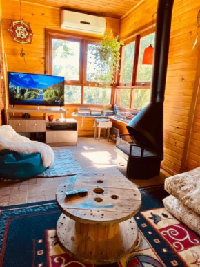 Vibe house